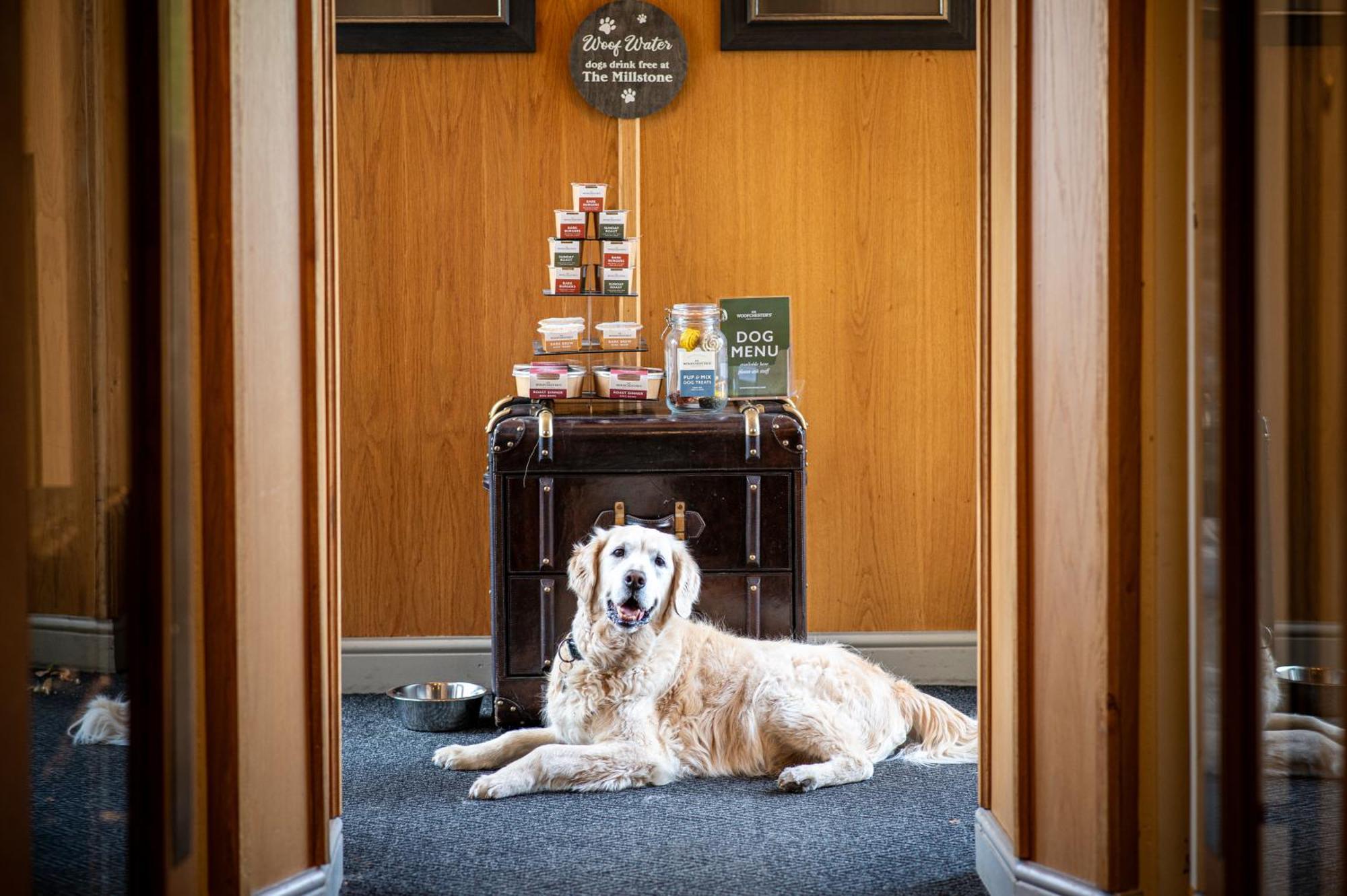 Hotel The Millstone, Mellor Blackburn  Exterior foto The Dog Room