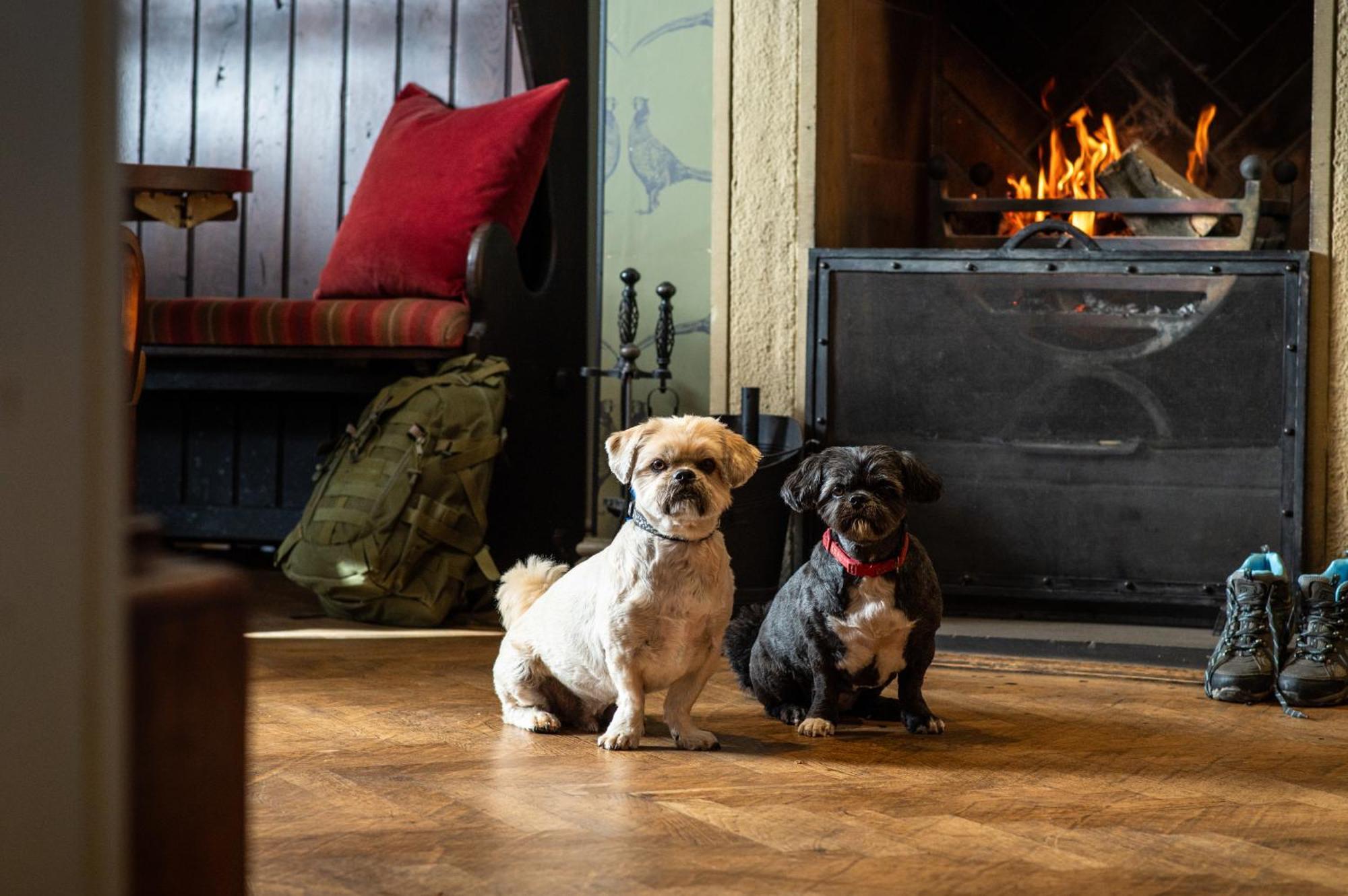 Hotel The Millstone, Mellor Blackburn  Exterior foto Dogs at the Inn